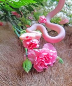 Pink Snake With Flowers Paint By Numbers