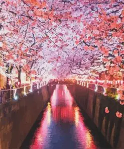 Sakura Cherry Blossom Paint By Numbers