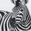 Black And White Zebra Paint By Numbers
