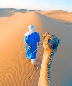 Arabian Desert Paint By Numbers