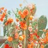 Cactus Flowers Paint By Numbers