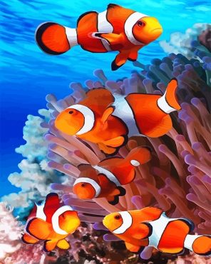 Clownfish Undersea Paint By Numbers
