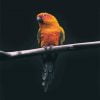 Orange Bellied Parrot Paint By Numbers