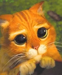 Puss In Boots Paint By Numbers