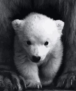 Polar Bear Cub Paint By Numbers