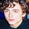 Actor Timothee Chalamet Paint By Numbers