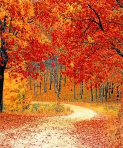 Fall Forest Path Paint By Numbers