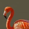 Orange Flamingo Paint By Numbers