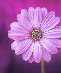 Purple Daisy Paint By Numbers