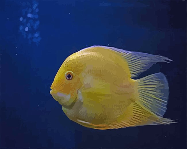 Yellow Fish Paint By Numbers