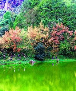 Green Lake NEW Paint By Numbers