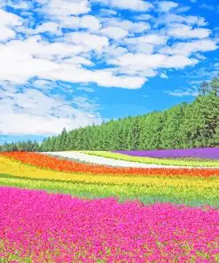 Hokkaido Garden Paint By Numbers