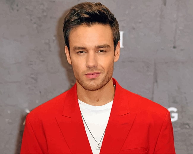 Liam Payne One Direction New Paint By Numbers - Numeral Paint Kit