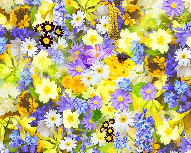 Spring Flowers Paint By Numbers