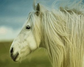 White Stallion Horse Paint By Numbers