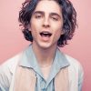Timothee Chalamet Actor Paint By Numbers