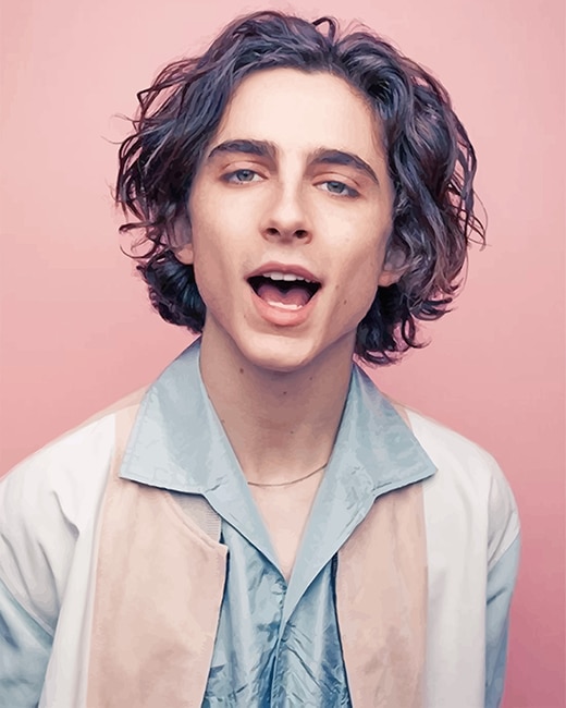 Timothee Chalamet Actor Paint By Numbers - Numeral Paint Kit