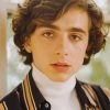 Timothee Chalamet Paint By Numbers