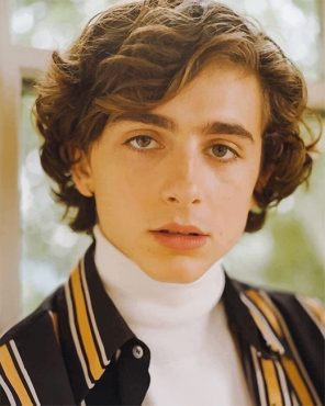 Timothee Chalamet Portrait - NEW Paint By Numbers - Numeral Paint