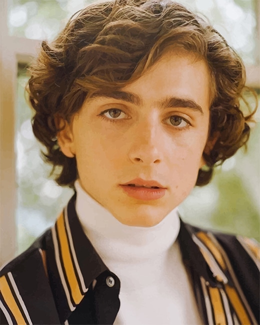 Timothee Chalamet Paint By Numbers