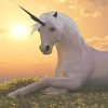 White Unicorn Paint By Numbers