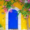 Blue Door With Flowers Paint By Numbers