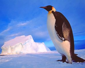 Emperor Penguin Paint By Numbers