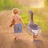 Little Boy With Goose Paint By Numbers