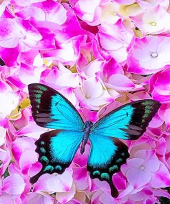 Blue Butterfly On Flowers Paint By Numbers