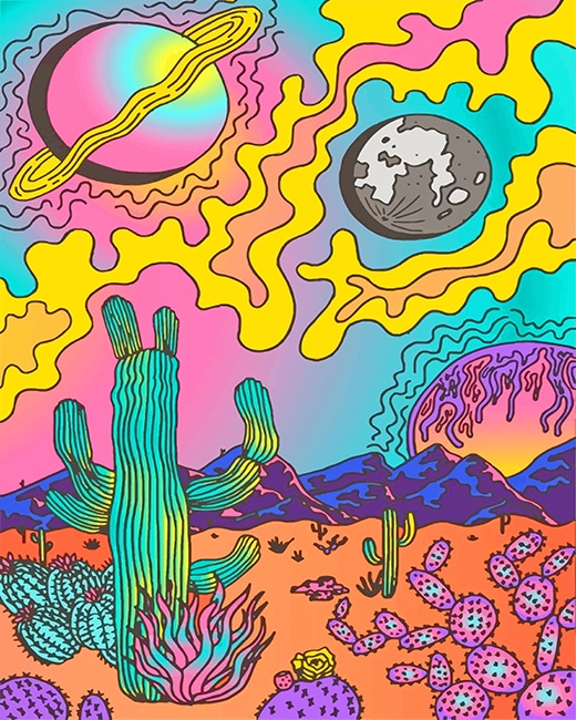Psychedelic Cactus Desert Paint By Numbers