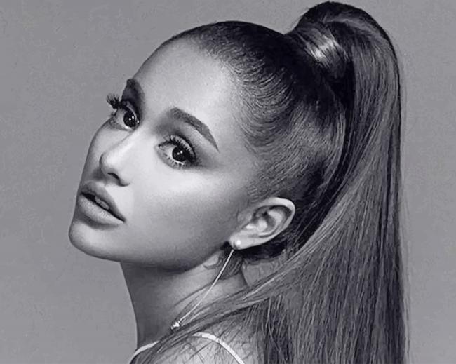 Ariana Grande Black And White New Paint By Number Numeral Paint