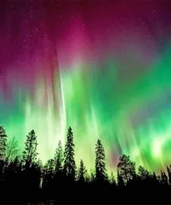 Aurora Borealis Trees Silhouette Paint By Numbers