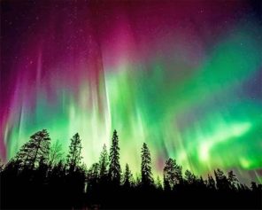 Aurora Borealis Trees Silhouette paint by numbers