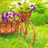 Bicycle Garden Flower NEW Paint By Numbers