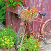 Bike With Flower Basket paint by numbers