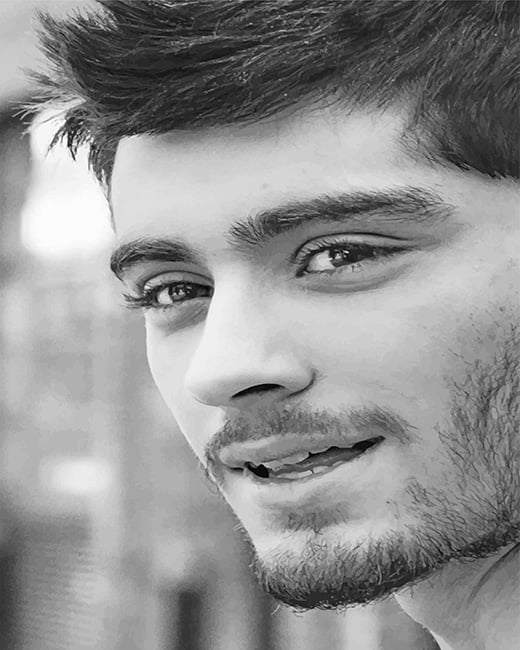 Black And White Zayn Malik NEW Paint By Numbers - Numeral Paint Kit