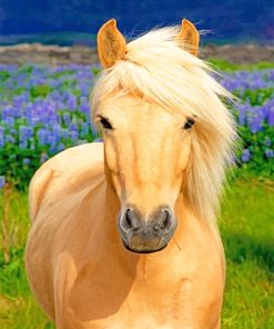Blonde Horse Paint By Numbers