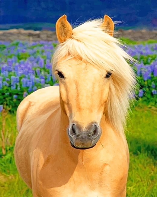 Blonde Horse Paint By Numbers