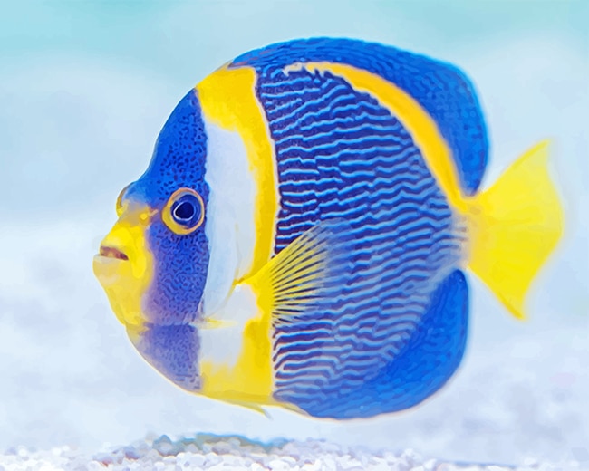 12+ Blue And Yellow Fish