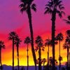 California Palm Trees Paint By Numbers