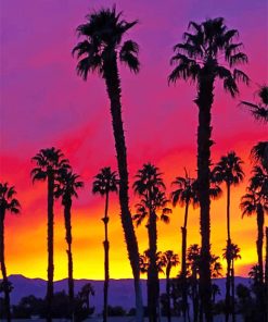 California Palm Trees Paint By Numbers