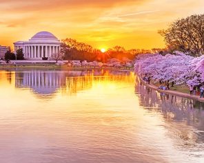 Cherry Blossom Tidal Basin Paint By Numbers