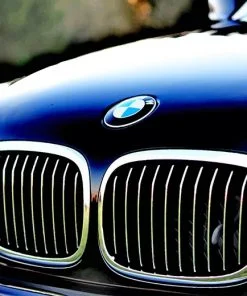 Bmw Car Grille Paint By Numbers