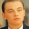 Leonardo Dicaprio Paint By Numbers