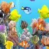 Tropical Fish Paint By Numbers
