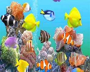 Tropical Fish Paint By Numbers