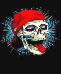 Cool Skull Paint By Numbers