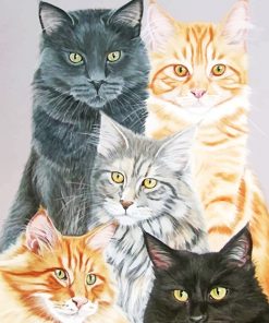 Cute Cats Paint By Numbers