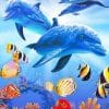 Dolphins Underwater With Tropical Fishes NEW Paint By Numbers