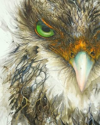 Eagle Bird Paint By Numbers